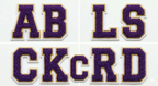 Chenille Letter Patches